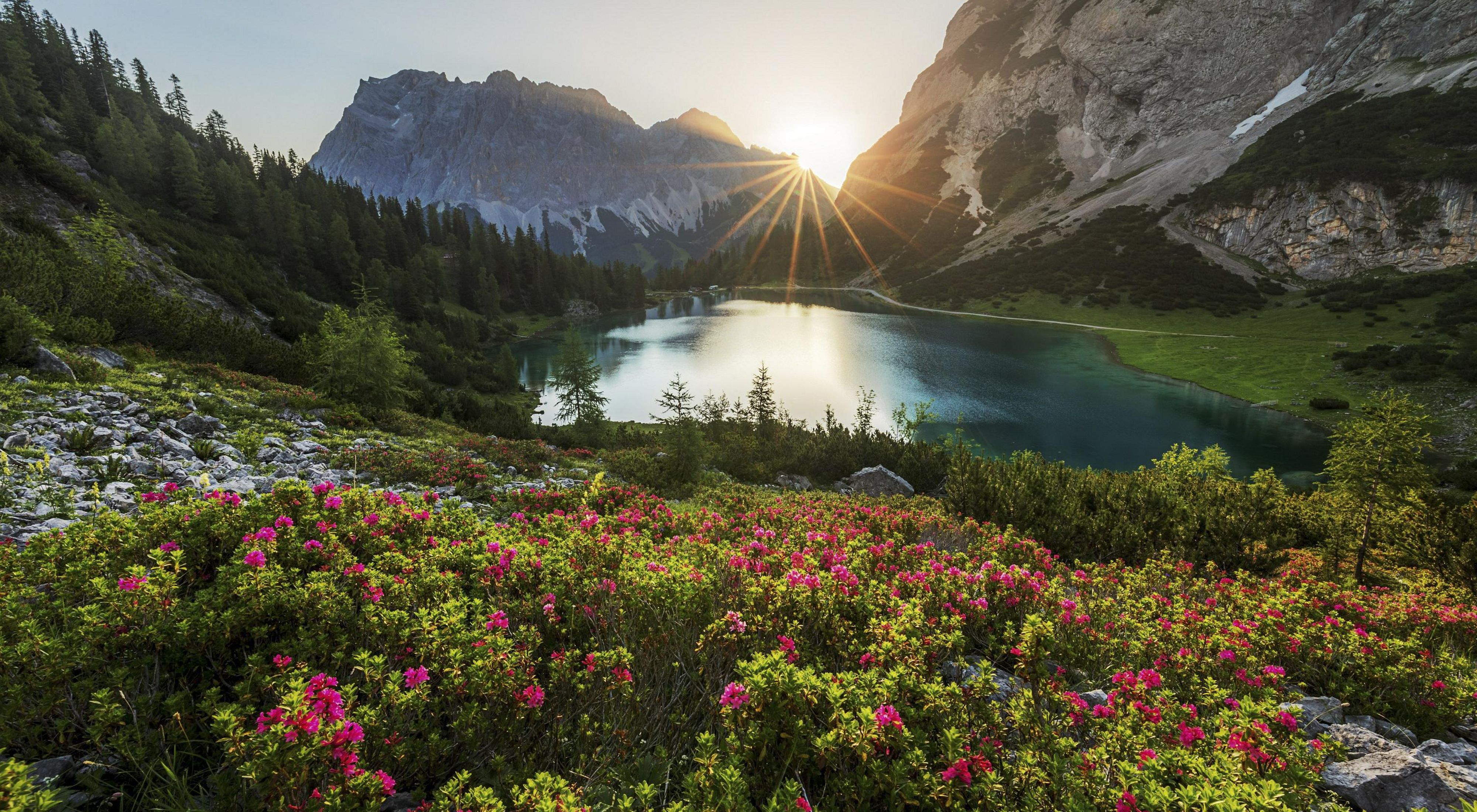 Nature